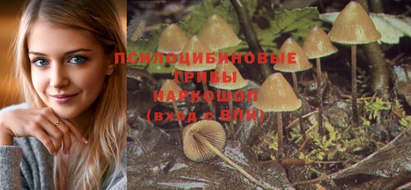 прущий лед Аркадак