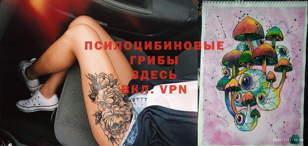 прущий лед Аркадак