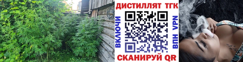 Купить  Болгар  Дистиллят ТГК THC oil 