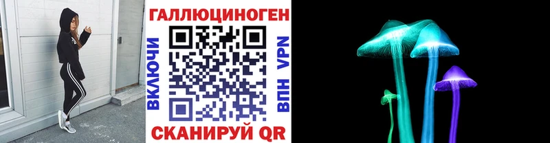 Псилоцибиновые грибы мицелий  Купить  Болгар 