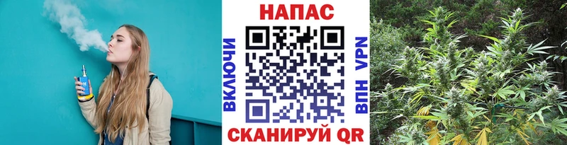 Бошки Шишки SATIVA & INDICA Купить Болгар